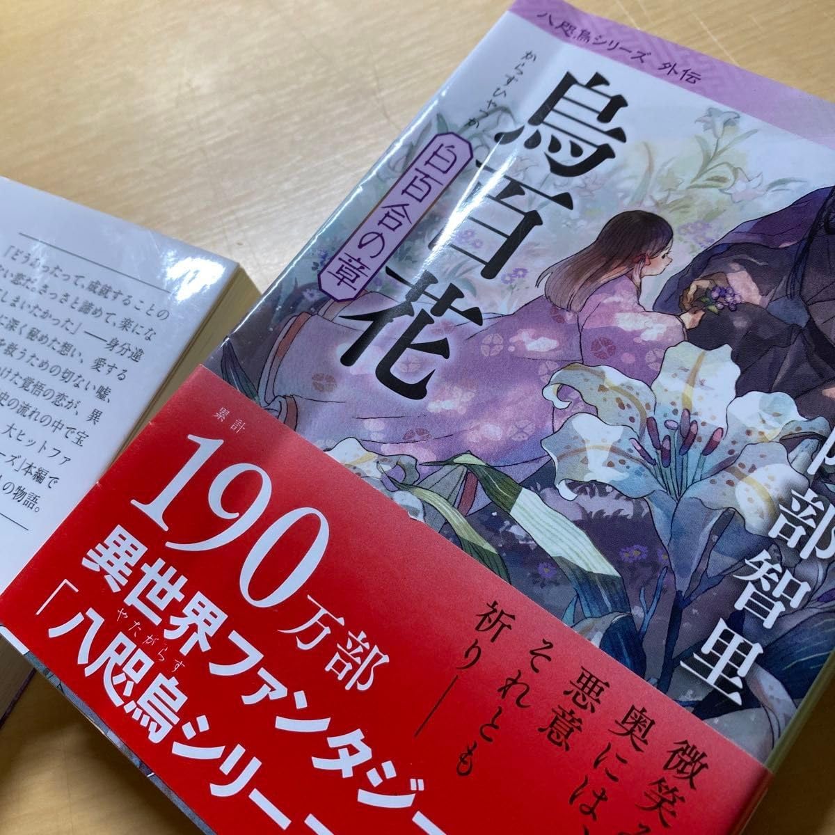 巨大】ステファニア 9芽あり 【不思議な見た目】ステファニア